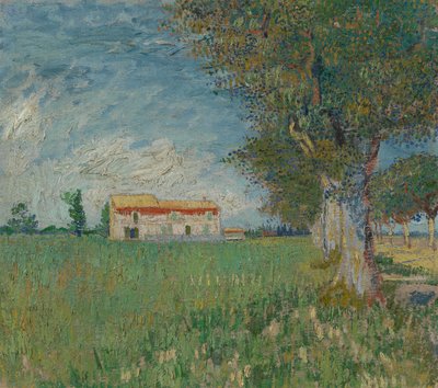 Cascina in un campo di grano da Vincent van Gogh